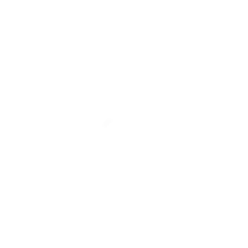 Fiz Seguro